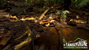 Mount Tambuyukon Expedition  